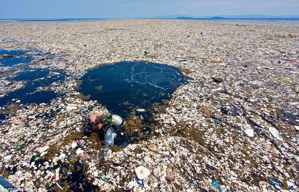 Le vortex de déchets du Pacifique nord, découvert en 1997, est une zone ...