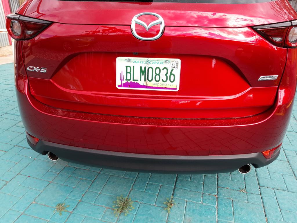 DougStanhope's tweet photo. In August 1936, Jesse Owens took a giant shit on Hitler's big Olympic dreams and I inadvertently bit happily have the lisence plate to commemorate it. #BLM https://t.co/sg0k2kStEl