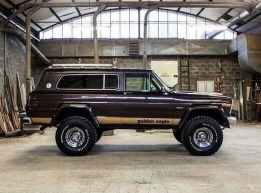 KANSAS BORN (@cat1pro) on Twitter photo 