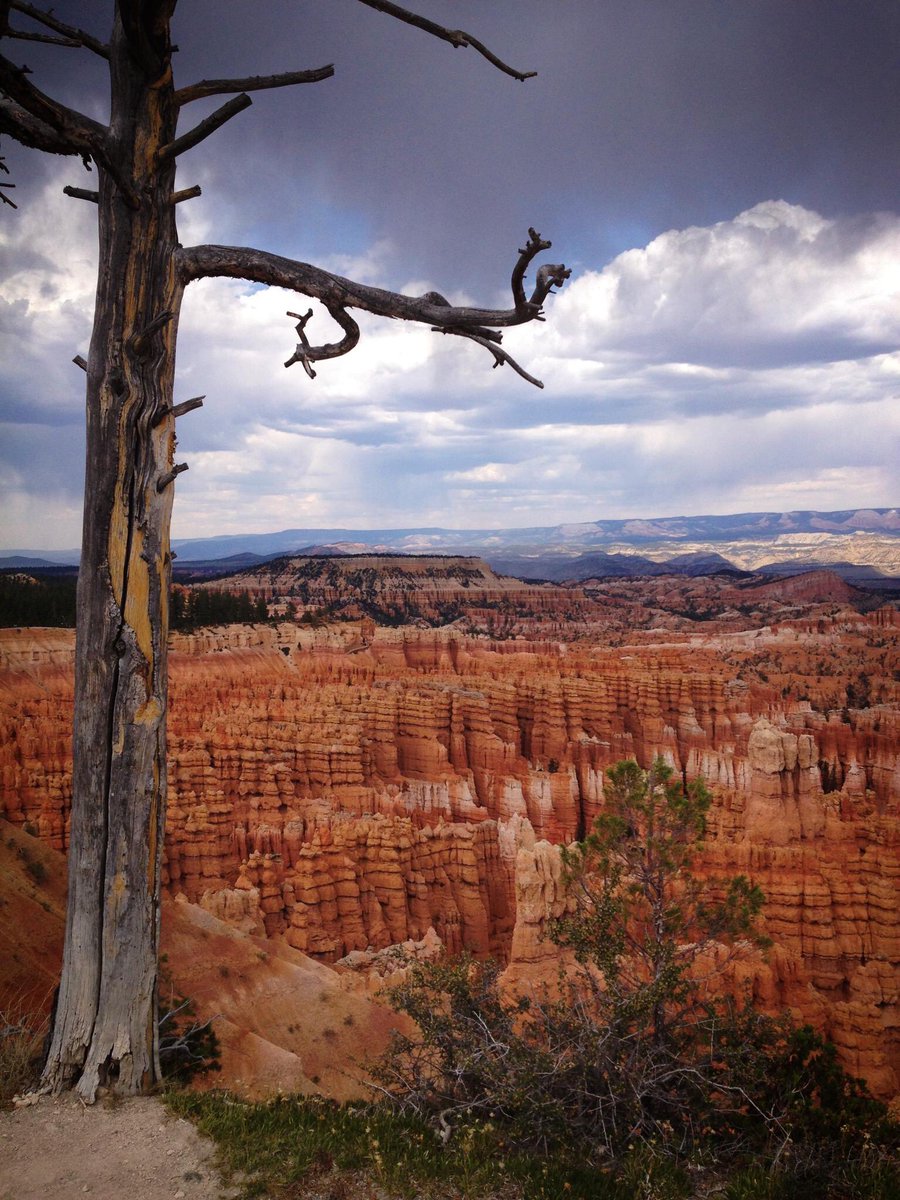@bauerpower Just gonna send these from when I went to Zion n Bryce 7 years ago. I want to go to Sedona next 