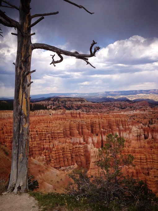 @bauerpower Just gonna send these from when I went to Zion n Bryce 7 years ago. I want to go to Sedona next 