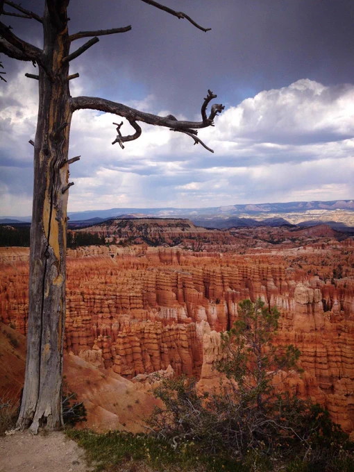 @bauerpower Just gonna send these from when I went to Zion n Bryce 7 years ago. I want to go to Sedona next 