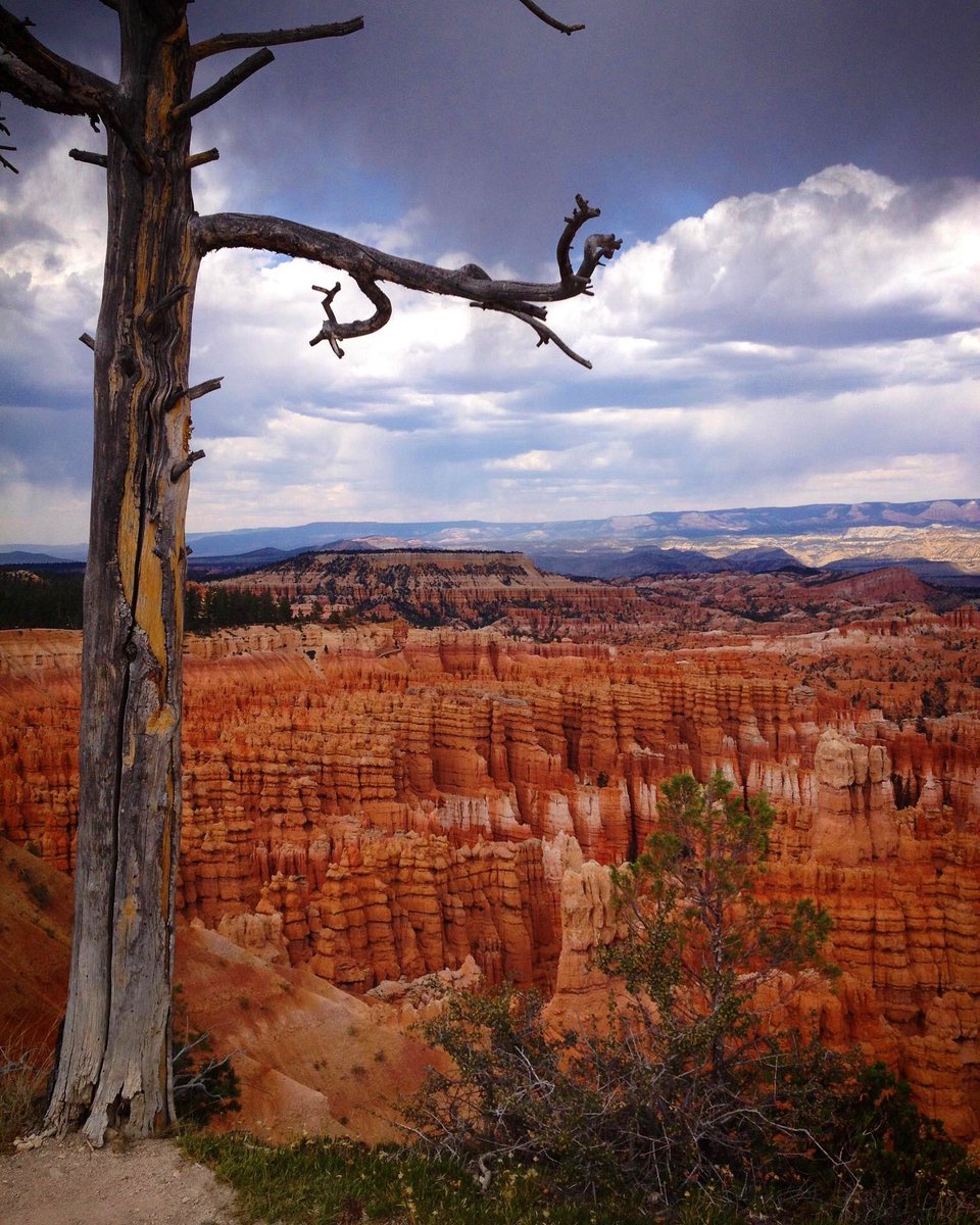 @bauerpower Just gonna send these from when I went to Zion n Bryce 7 years ago. I want to go to Sedona next 