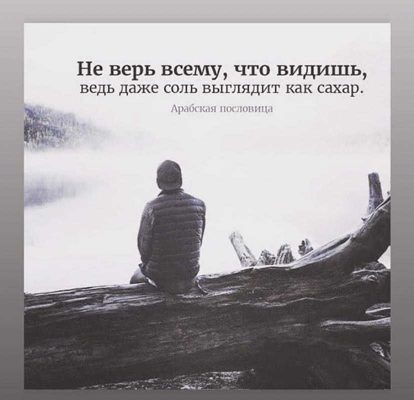 dashylka2505's tweet photo. Волк слабее Льва и тигра 👆🏼👆🏼👆🏼👆🏼👆🏼👆🏼 https://t.co/fiZR9rQIse