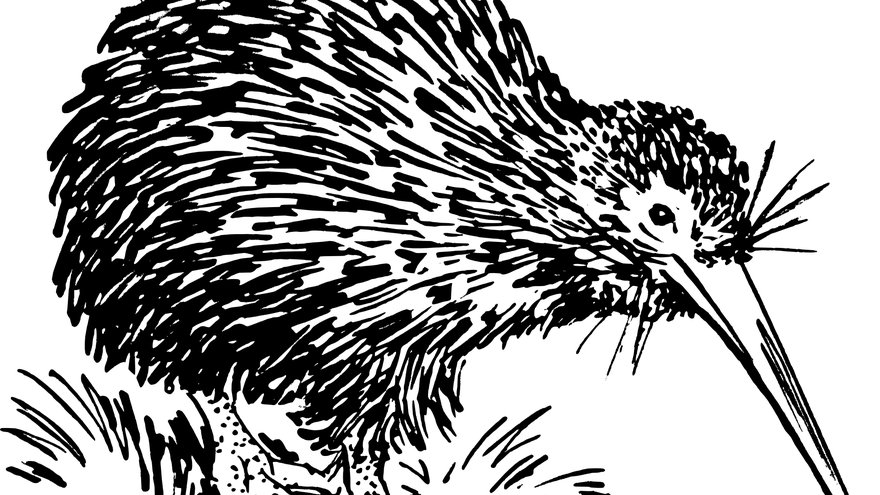 LanguagesInt's tweet image. What does a kiwi (bird) sound like? Find out near the end of the podcast where you can hear Michael’s excellent impression of our national bird.

Watch on YouTube:
youtu.be/Nmz6HBM-af4  

or listen on Spotify or your favourite podcast app: anchor.fm/curiouspavel/e…