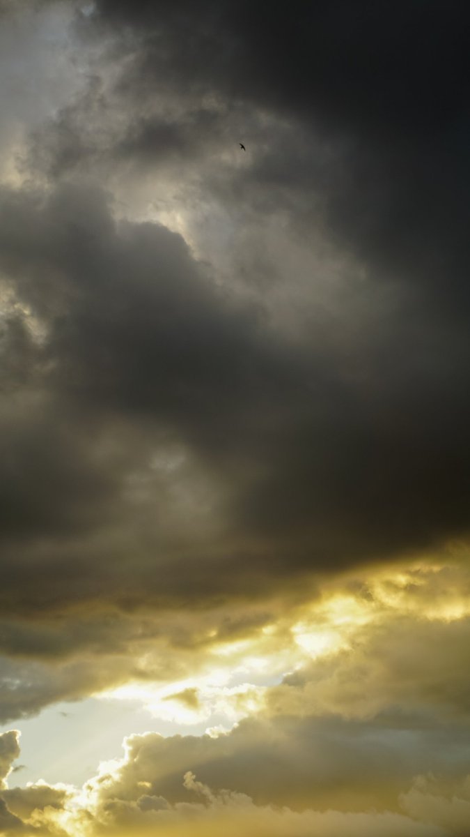 EsDonClemencio's tweet photo. 6. Aceptar lo que sucede. No apenarse por padecer, por sufrir, por sentir. El sufrimiento, del que nadie está exento, es hermano de la felicidad. Cristo, a pesar de aún sufrir, es feliz por la vida de su hermanito en tierra.#Honduras🇭🇳 #visitHonduras #Hondurasesbella #sunsetphoto https://t.co/1J4f5rAcVm