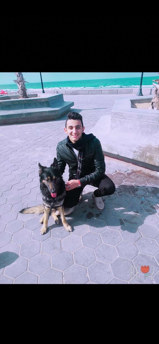 UsefJo tweet picture