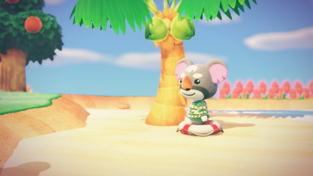 ShopTheMOAT's tweet photo. Lazy days, and calm nights 
#coralcove #moatadventures #acnhgonzo #acnhsherb #acnhnan #AnimalCrossing #ACNH #NintendoSwitch #wetsuitsallday https://t.co/ybsekKyKS2