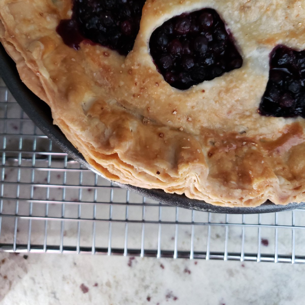MDIVADOMESTICA's tweet photo. The flaker the better! Ribbons of pastry. Saskatoon pie.
#yqr #yqrfood #freshfromtheoven https://t.co/da72a2AybY