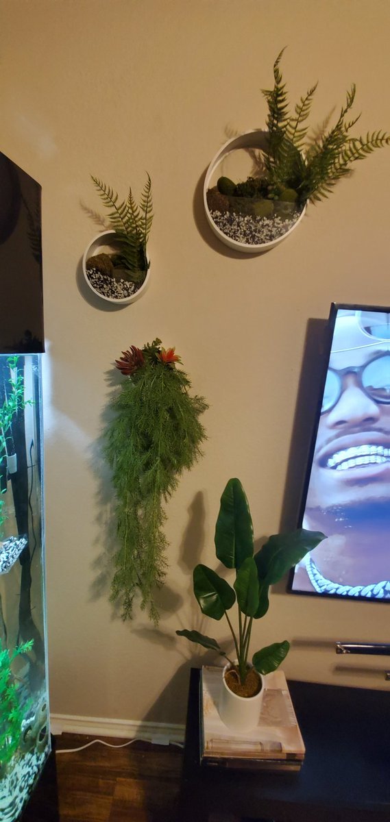 Demani_Sm1th's tweet image. 6. Finish look... add one more skills... Interior decorator... 
So I took the old aquarium stones and added a lil razzle dazzle to the wall decor...
 #JackofAllTrades
#MasterofSome😏