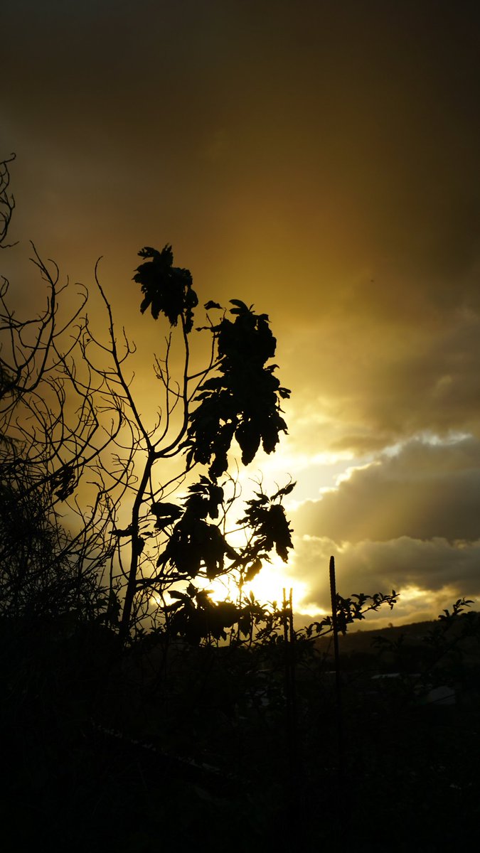 EsDonClemencio's tweet photo. 8. Un buen adulto pone su confianza y su fe en su Dios. 

Gracias por seguir la secuencia fotográfica y del discurso.

#Honduras🇭🇳 #visitHonduras #Hondurasesbella #sunsetphoto #sunsetshots #sunsets #sunsetpainting #sunset_oftheworld #stunnig #stunning_shot #photo_ #fotografia_ https://t.co/zJN7CV0NmQ