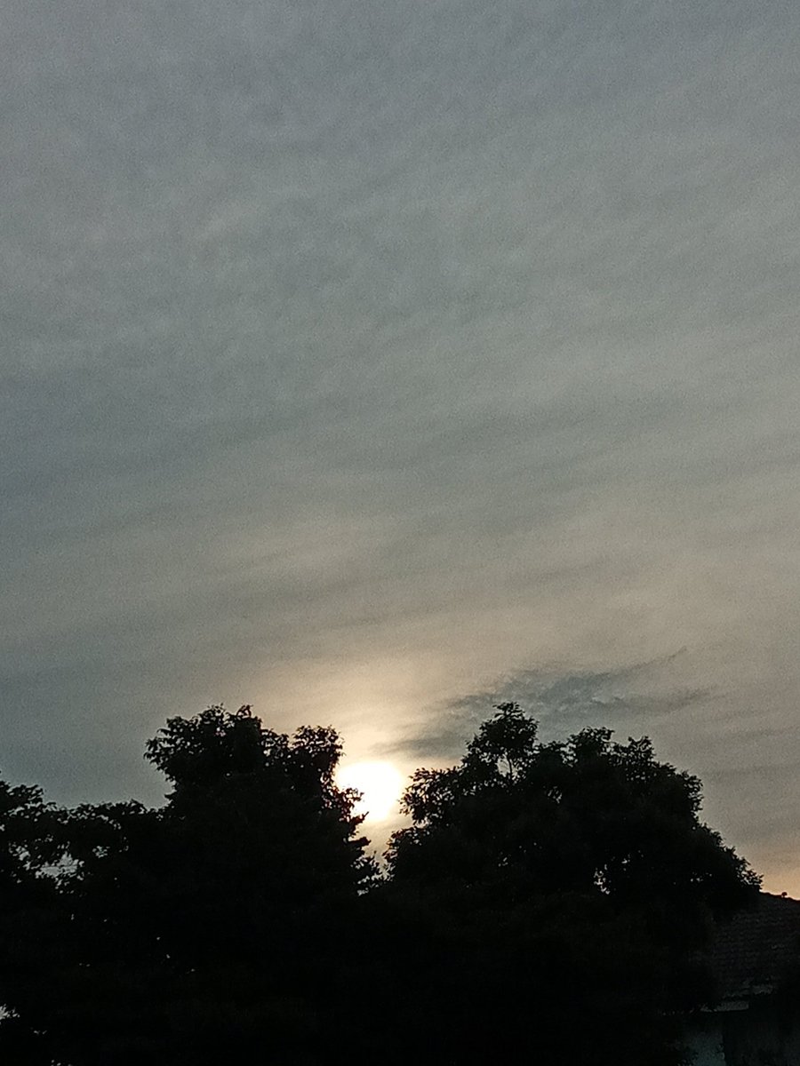 kanokvanp's tweet photo. Have a great new week..... 
Monday morning. https://t.co/8ogIUoFLHg