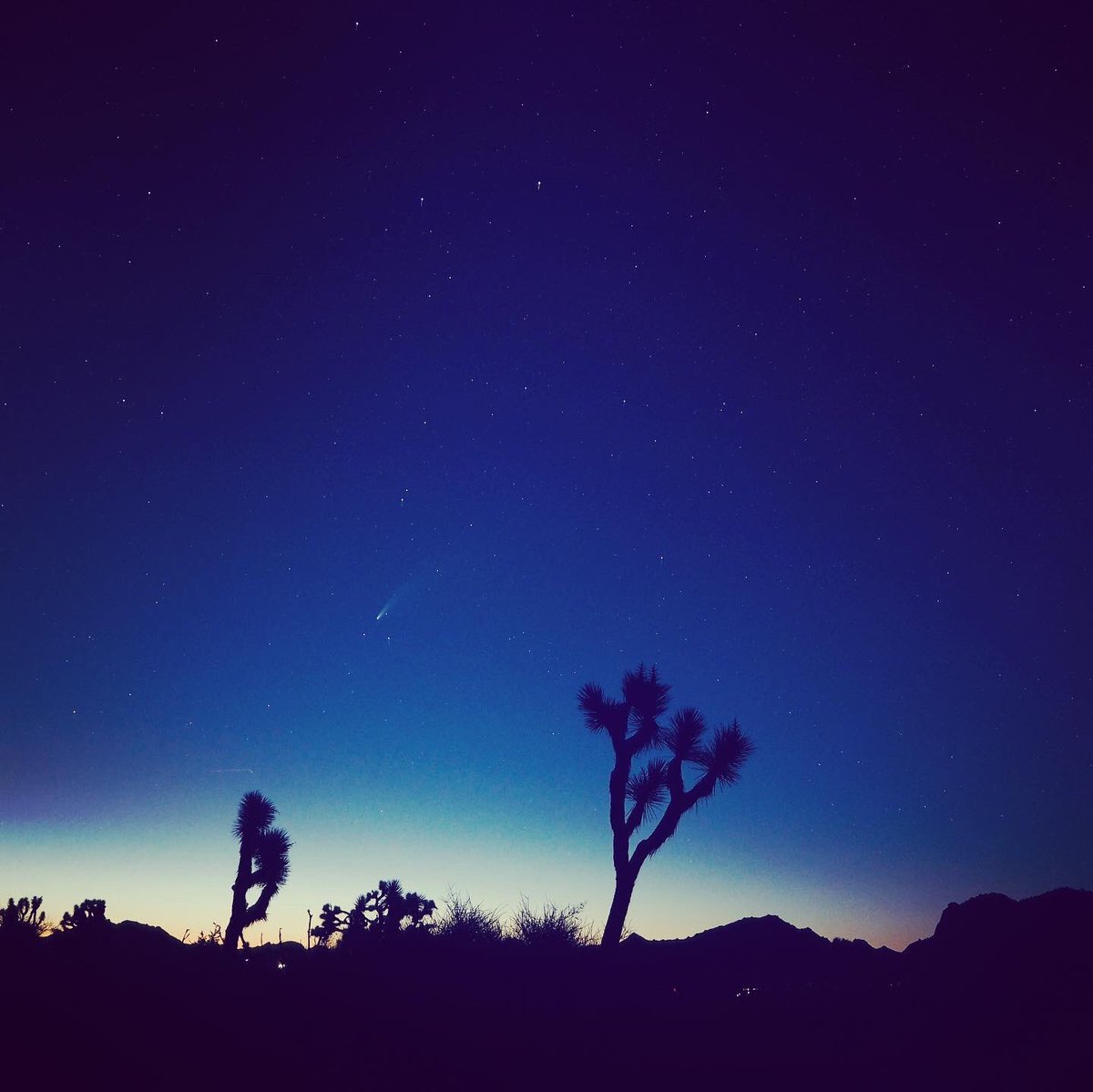 mo_pmp's tweet photo. ネオワイズ彗星撮ったど〜！
#ネオワイズ彗星 #NeowiseComet #neowisec2020F3 https://t.co/offQ58rlPb