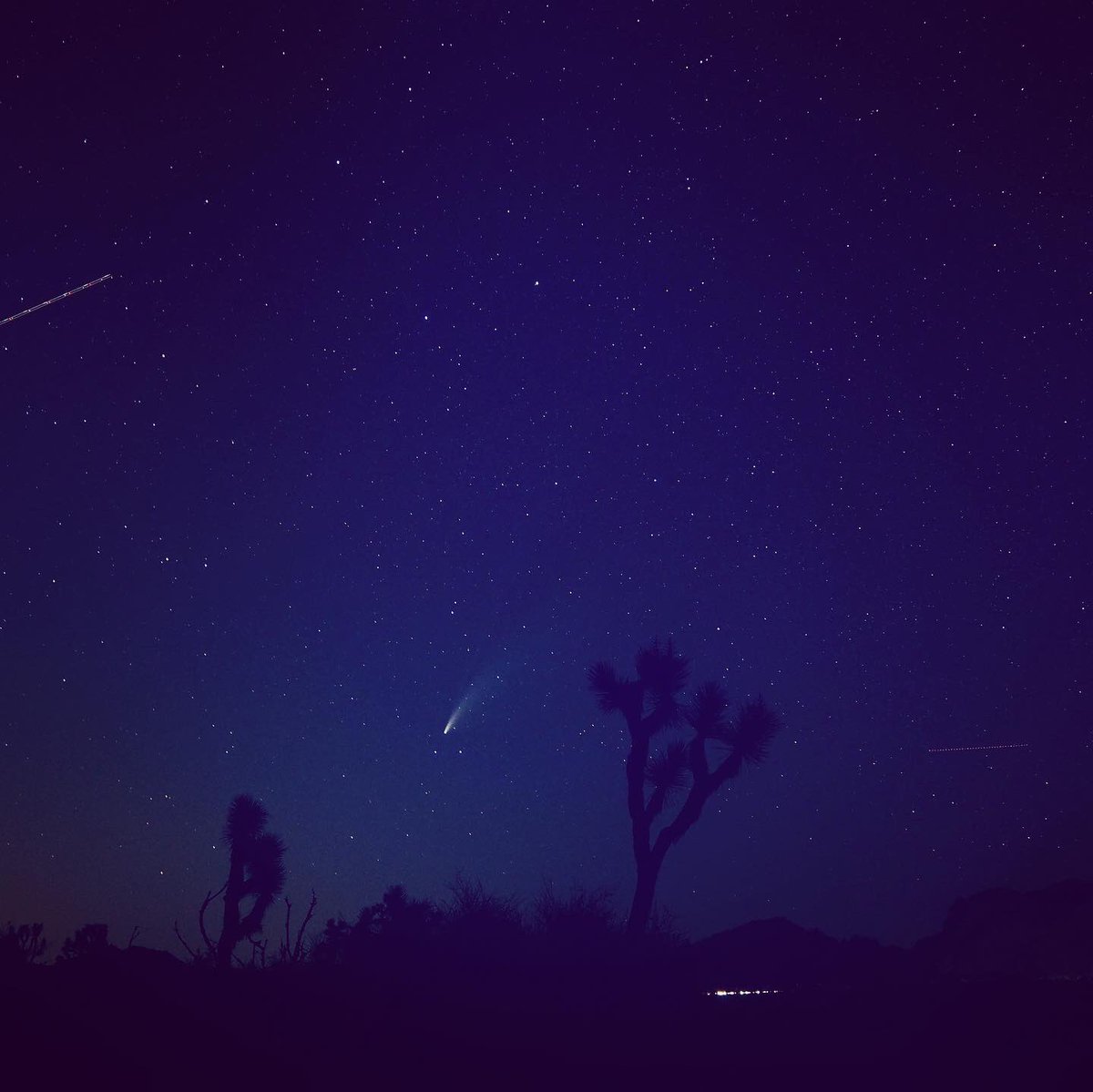 mo_pmp's tweet photo. ネオワイズ彗星撮ったど〜！
#ネオワイズ彗星 #NeowiseComet #neowisec2020F3 https://t.co/offQ58rlPb