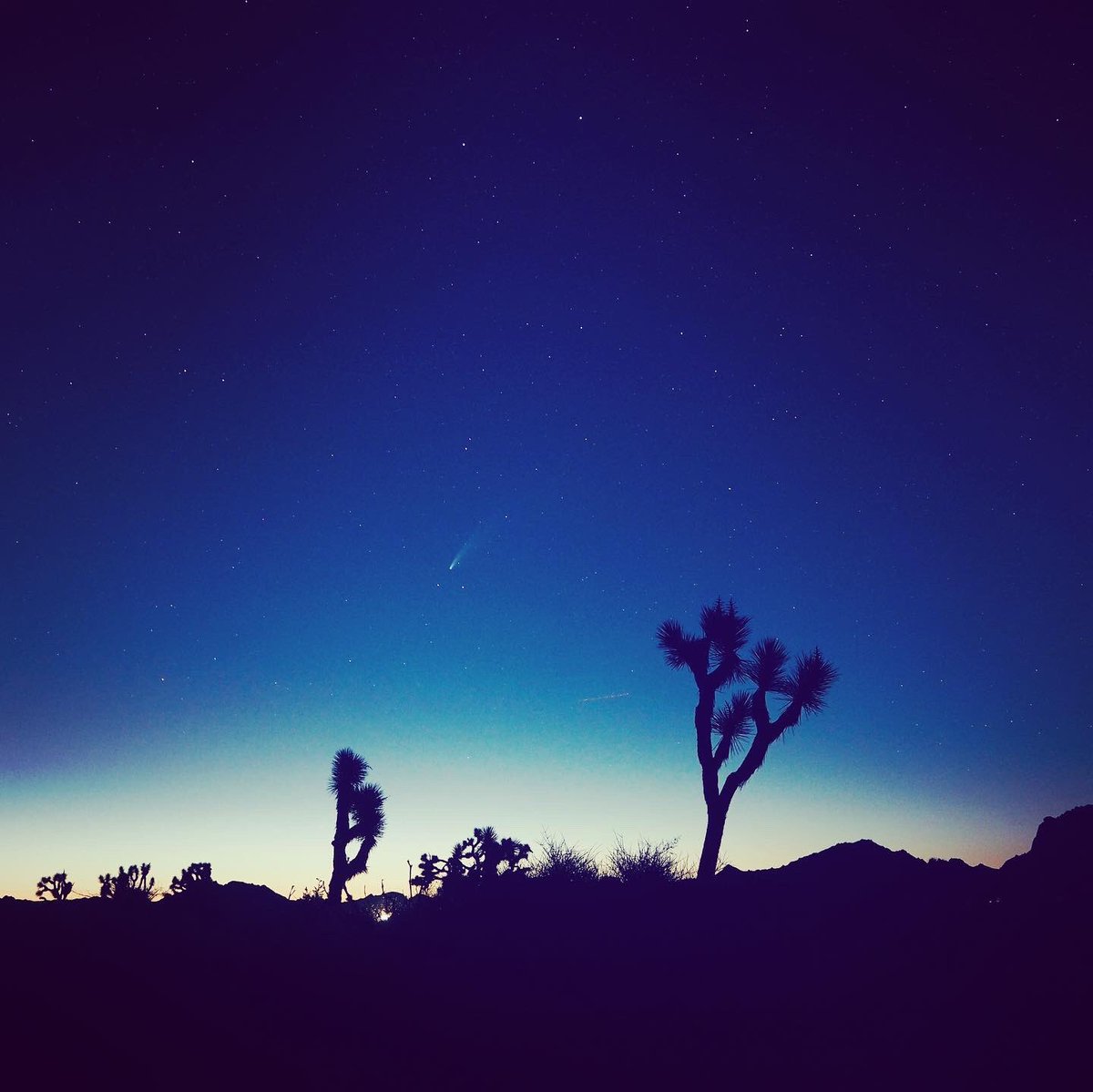mo_pmp's tweet photo. ネオワイズ彗星撮ったど〜！
#ネオワイズ彗星 #NeowiseComet #neowisec2020F3 https://t.co/offQ58rlPb