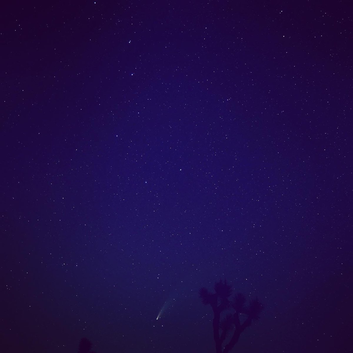 mo_pmp's tweet photo. ネオワイズ彗星撮ったど〜！
#ネオワイズ彗星 #NeowiseComet #neowisec2020F3 https://t.co/offQ58rlPb