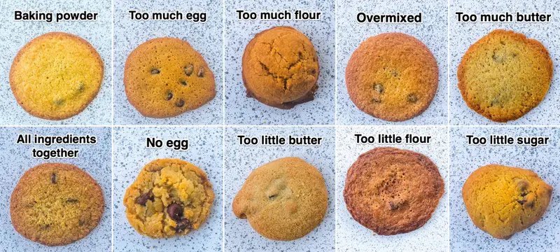 LZHSFCS's tweet photo. This is why reading the recipe, measuring correctly and completing each step in a cookie recipe is important! https://t.co/JsG0t2bfs9 #FacsOfLife https://t.co/UYruxLRmVn