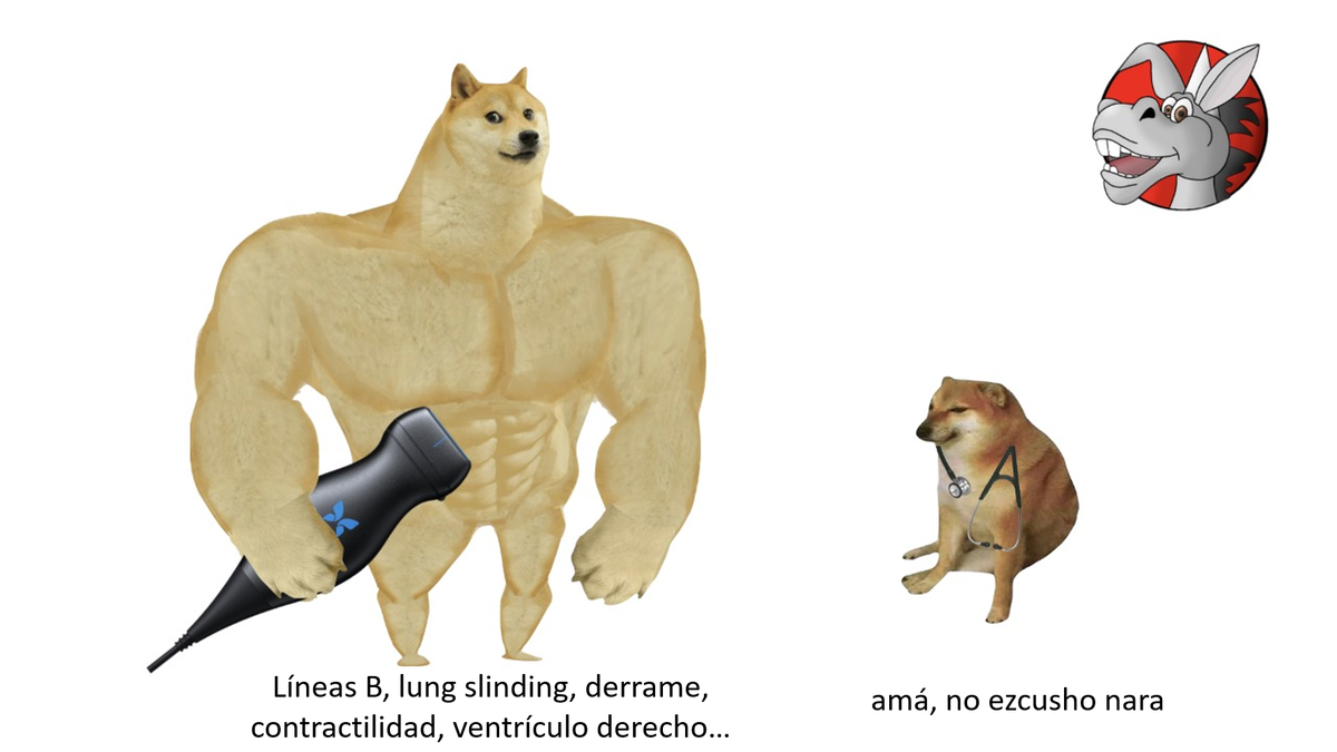 PorrosEM's tweet photo. Únete al lado ecográfico de la medicina de urgencia Luke Skylorowalker 😎🤜🦜 https://t.co/LUE4HZ7J8Q