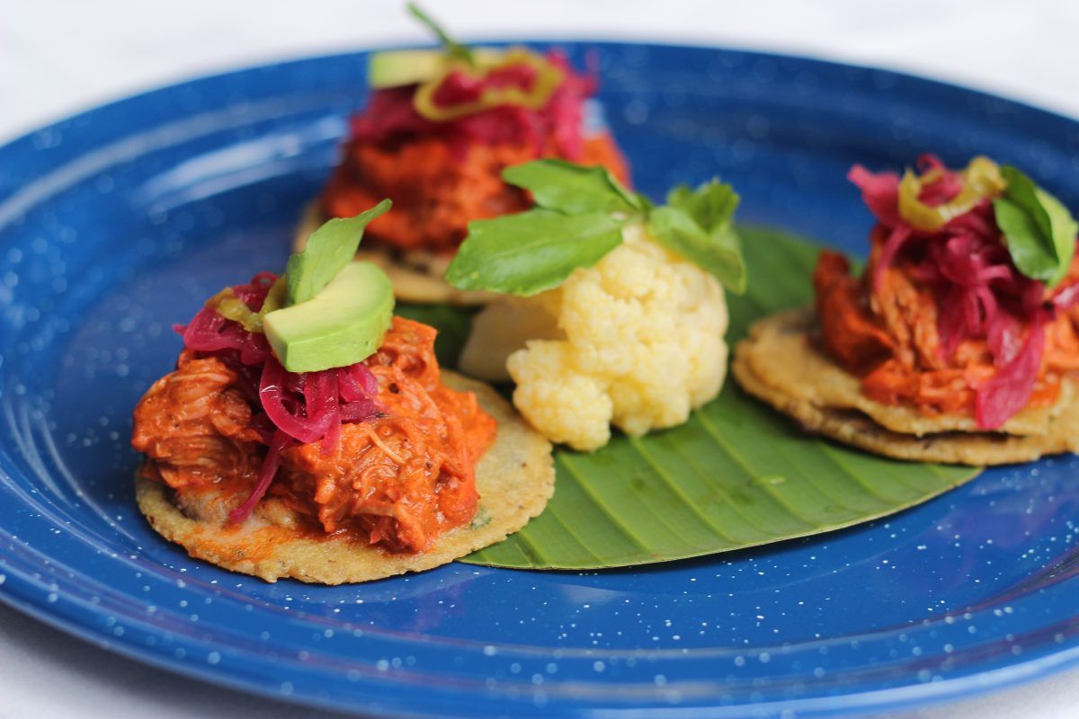 Animal Gourmet tweet media