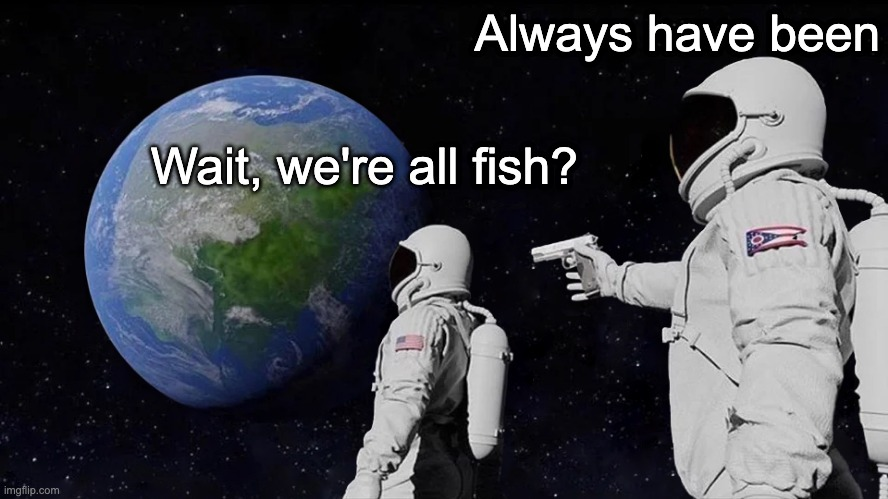 mtanichthys's tweet photo. #YourInnerFish https://t.co/OX46eAorIS
