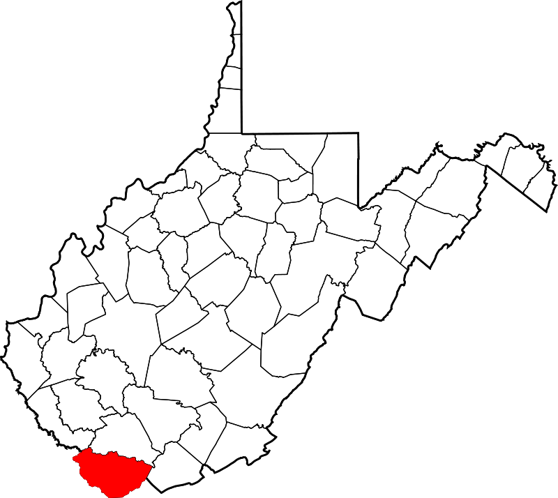 West Virginia was one of only two states where Hillary Clinton carried not even a single county, the other being Oklahoma. The biggest swing of any WV county from 2000 to 2016? Try McDowell County, which went from Gore+34 to Trump+51 over that period. Obama won it by 9 in 2008.