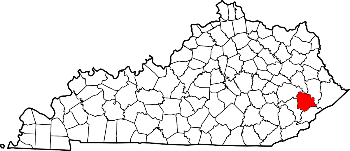 Eastern Kentucky is similar to West Virginia in that they both had a strong Democratic tradition of coal unions. Knott County went from Gore+36 to Trump+54, an even bigger swing. Even Democratic stalwart Elliott County went from Gore+29 to Trump+44.