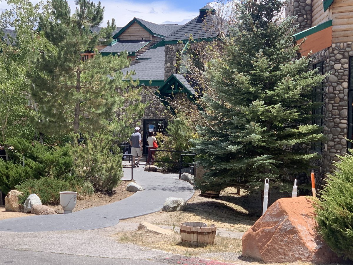 CristenDrummond's tweet photo. Lodge staff say the heat in #LasVegas brings people up to the mountain who want to cool down. There’s been a boost in business recently which is welcomed following #COVIDー19 closures and the recent #mahoganyfire #8NN https://t.co/Fjj2cPvLUW