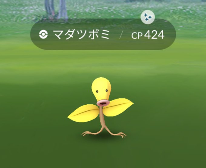 マダツボミ 色違い
