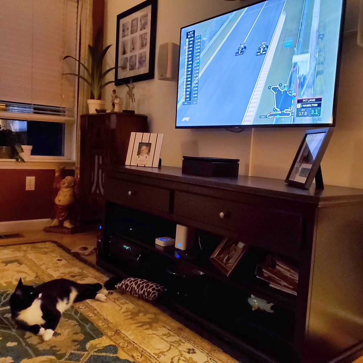 MarcyJHill's tweet photo. @Max33Verstappen, Domino loves to watch you go around the track! https://t.co/bWHCEUCLQU