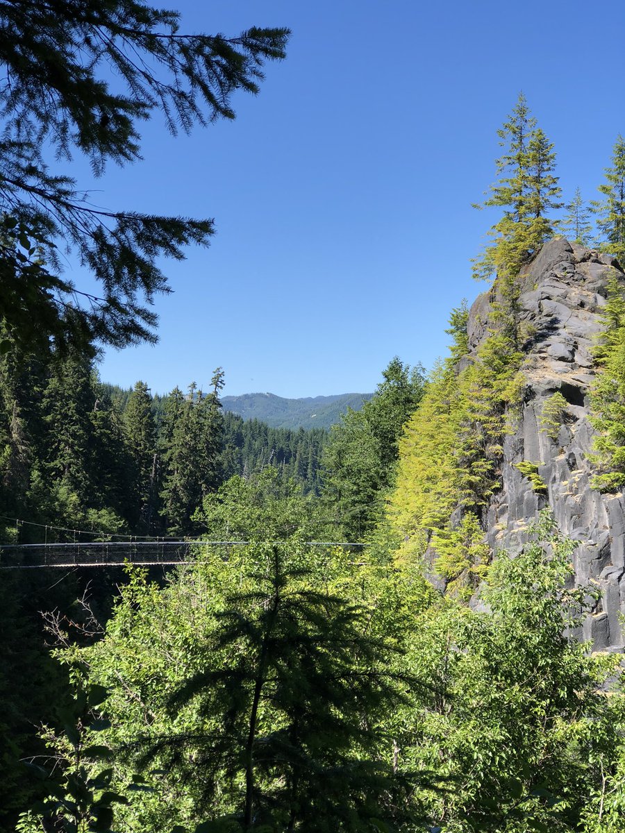whoisjaybailey's tweet photo. Portland and beyond 🏔 https://t.co/27zB1jTFnd