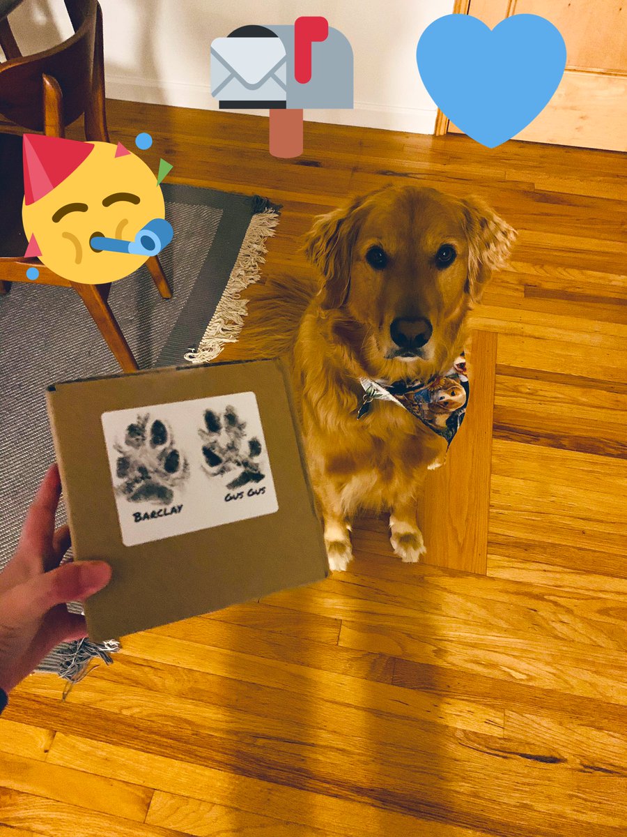 Cali_Rupert's tweet photo. It’s a great day when it’s @Barclay_FTW &amp; @Gus_FTW mail day! 📬📦🥳💕 thank you so much friends, for this amazing friendship package. So thoughtful of you. Our family feels so lucky to have y’all as frens! Have a blessed rest of Sunday! https://t.co/6Uitjhujzg