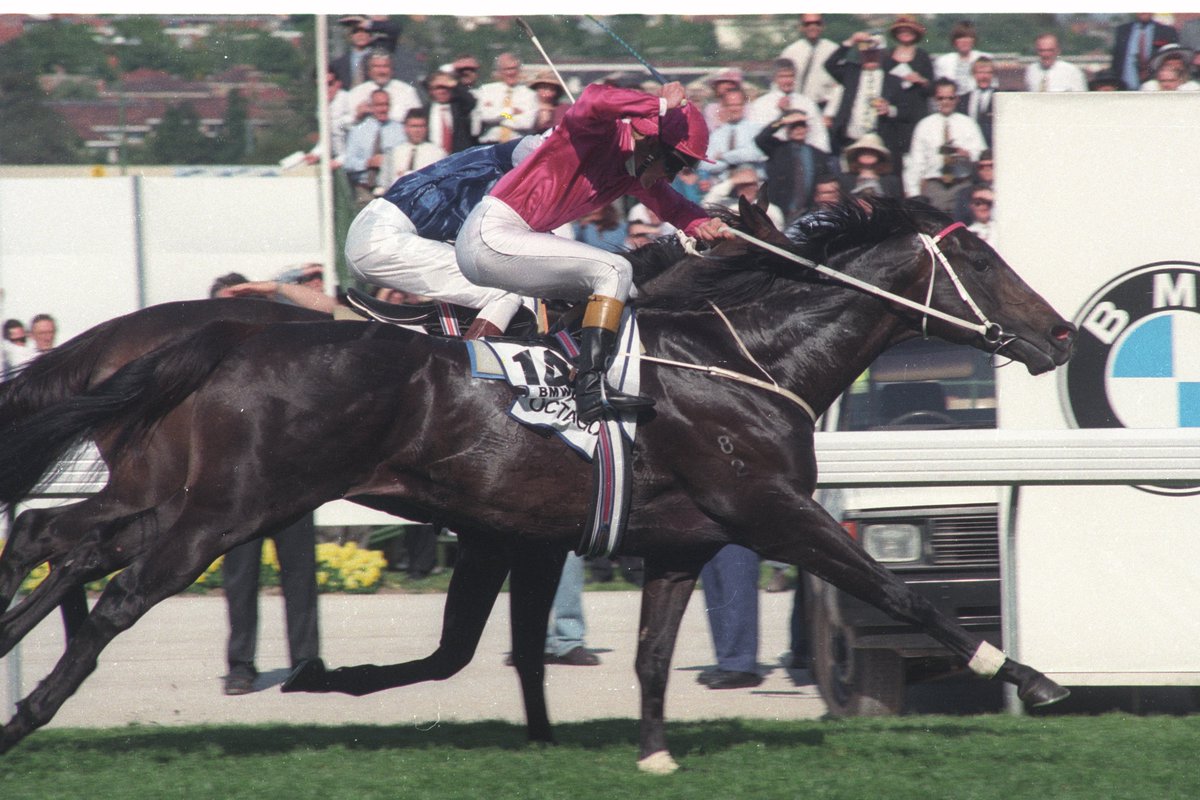 TheValley's tweet photo. Enjoy a different photo from our @CoxPlate archive in celebration of #CoxPlate100 until the end of lockdown.

Mahogany, Octagonal, Octagonal, Mahogany... Octagonal got his nose in front and Octagonal wins the Cox Plate... #Legendary https://t.co/ynyR3b8hC4