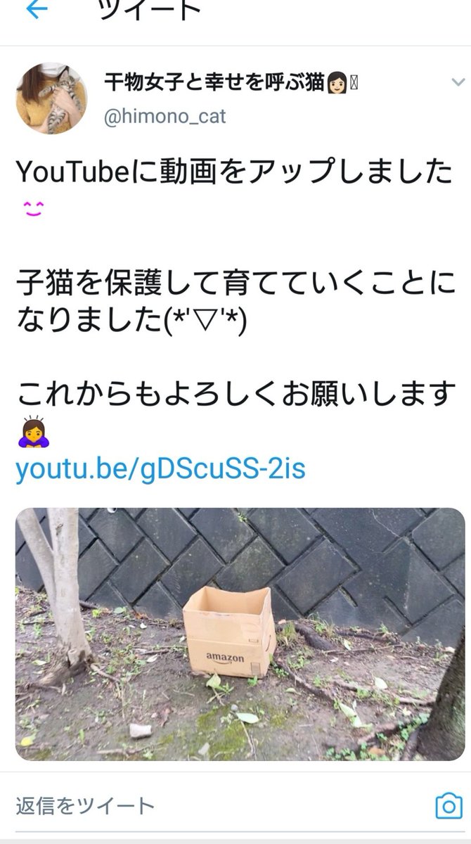 干物女子が捨て猫を拾って動画を投稿し 色んなyoutuberから応援されるも 想像を絶する批判コメントに心を潰されてしまいました と引退へ 2ページ目 Togetter