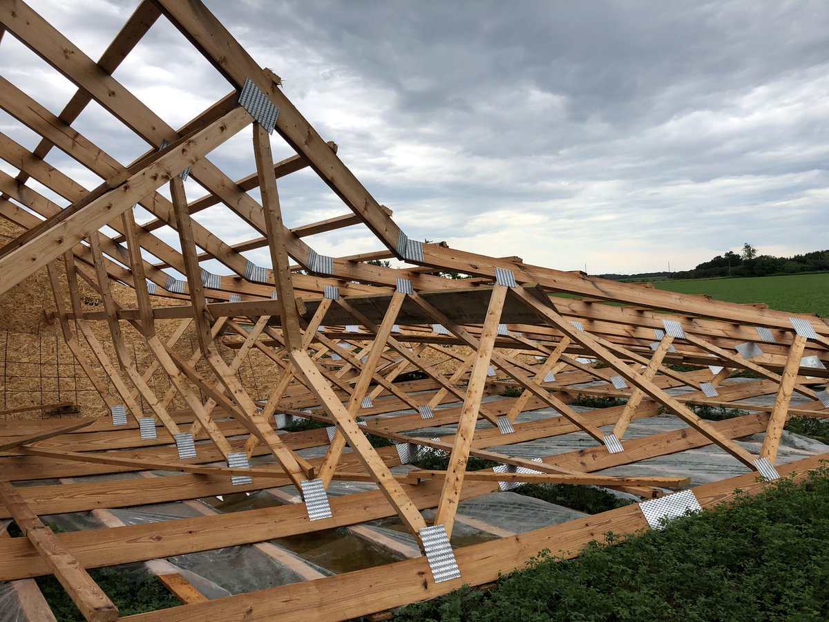 Mistyglen Holsteins tweet media