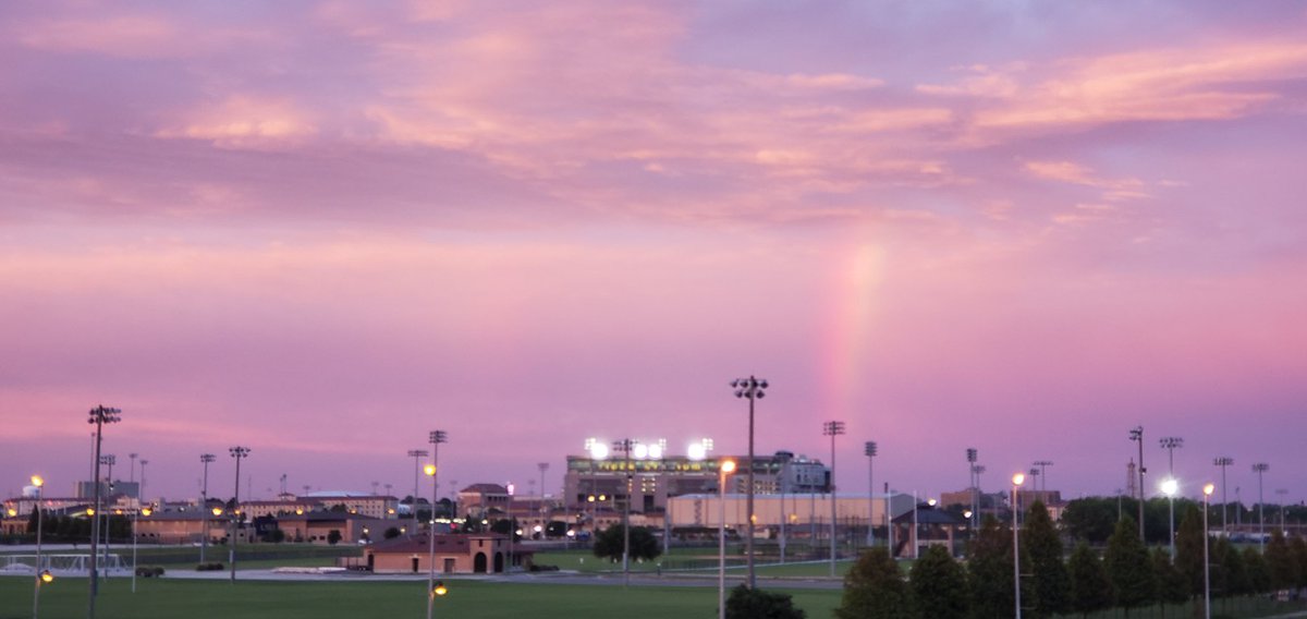 mshirley2002's tweet photo. @LSU https://t.co/XxsEQM1z7D
