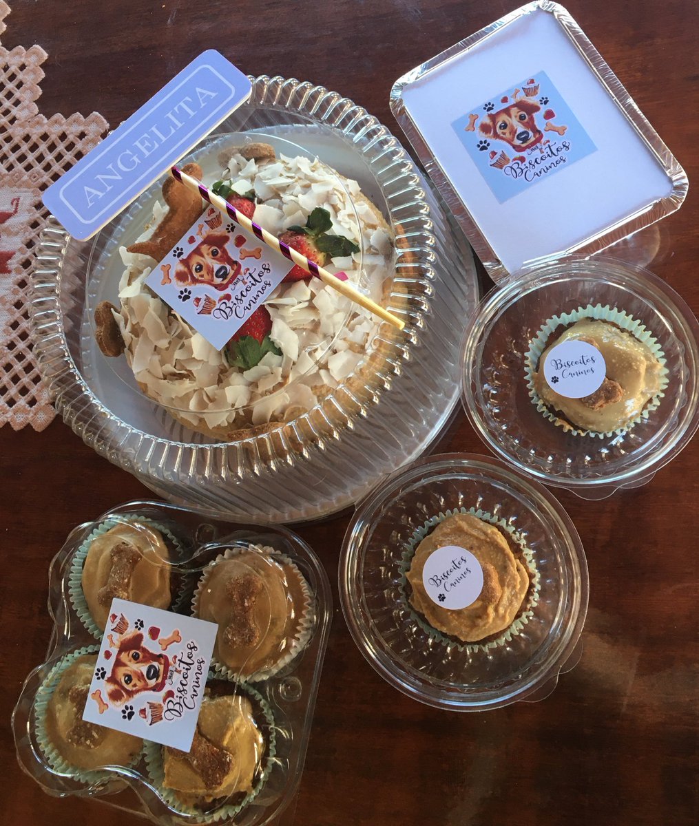NairaMartinelli's tweet photo. Faço comidinhas saudáveis para pets e hoje foi dia de bolo de aniversário pra duas cachorrinhas 🥰🥰 100% natural e feito com alimentos que eles podem comer! 
Quem puder dar uma forcinha minha página é: https://t.co/5x2pmbvDWx
RT é muito bem vindo também hahaha 
Obrigada!!! 💗🐾 https://t.co/TvShEXGJMz