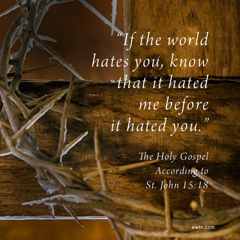 Lord, help us to endure persecution and to live our faith bravely and boldly for love of You.

#EWTN #Catholic