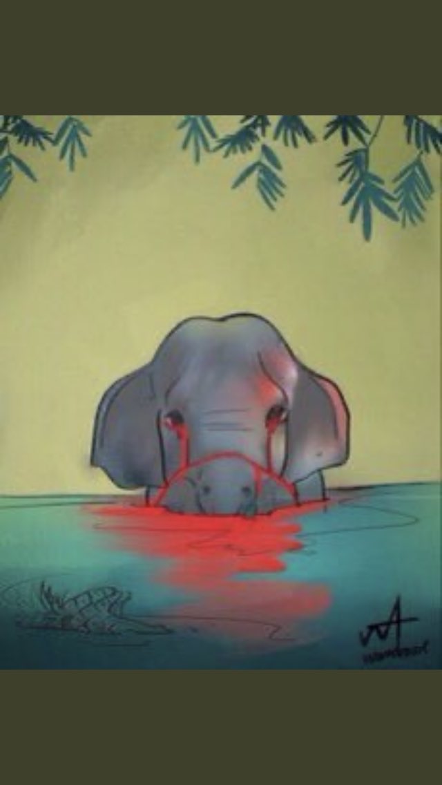flyvip1's tweet photo. Death penalty and jail should be the Punishment for animals cruelty and neglect. #معذب_القطط #قاتل_الروابي #نطلب_القبض_على_حارق_القطه https://t.co/O8cKbM1nb5