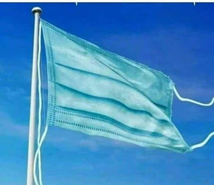 MhdAbrar7's tweet photo. Official flag of 2020
#COVIDー19 
#StayHomeStaySafe https://t.co/7k5elFMAfG