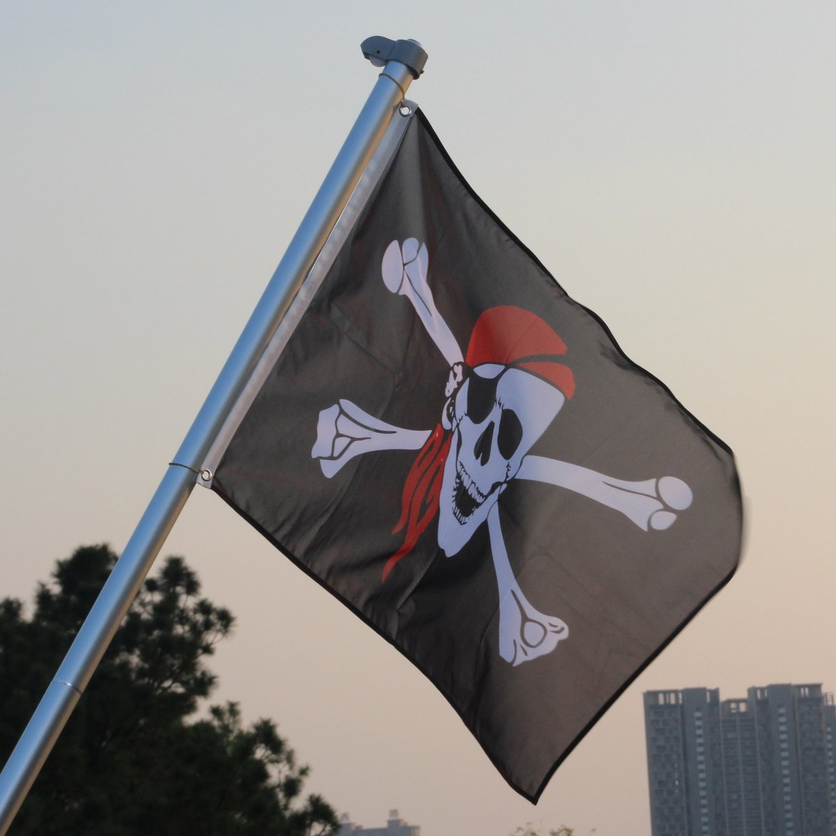a6cssd's tweet image. #Pirateflag