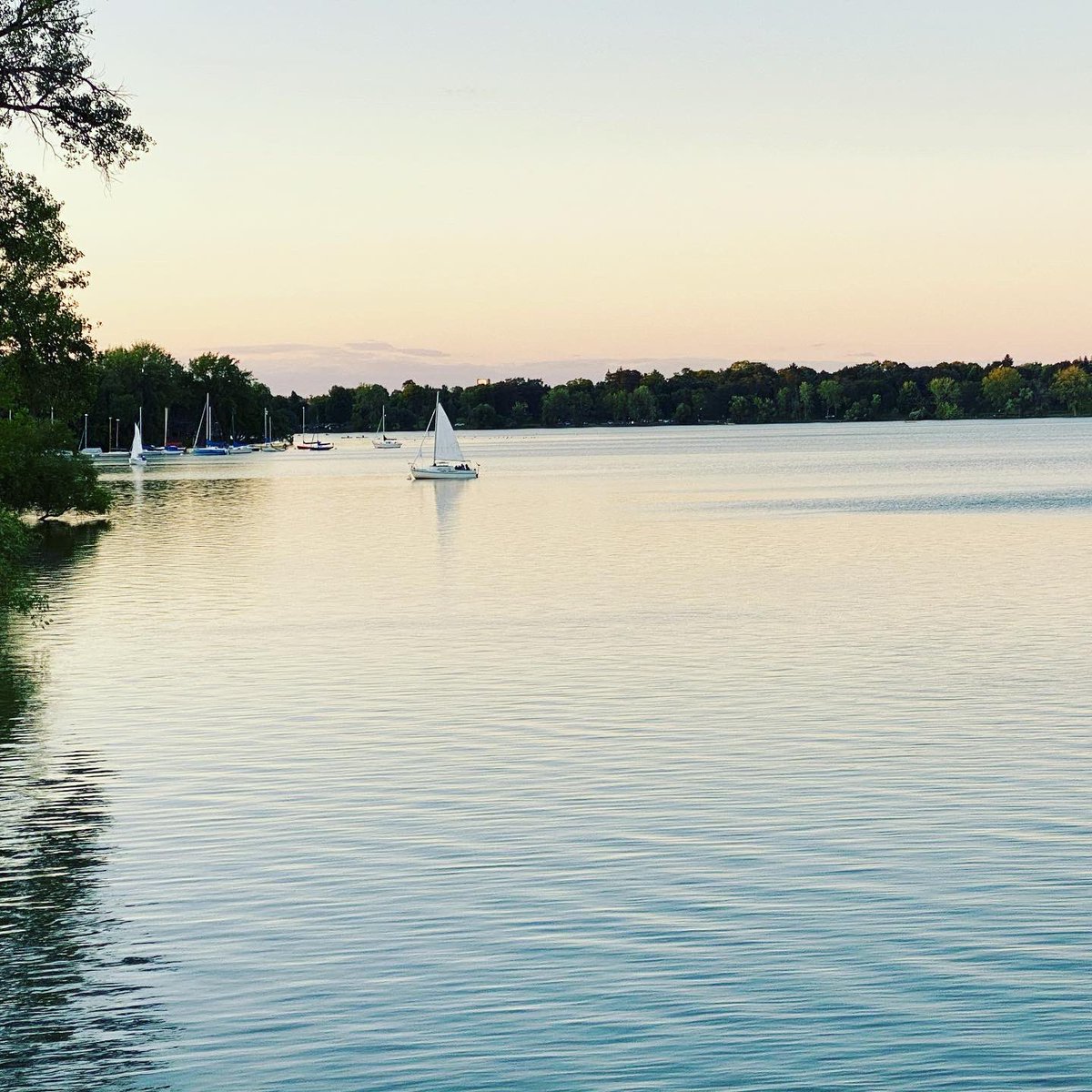 NokomisLife's tweet photo. Neighbor hangs https://t.co/E8qcAC42Fu