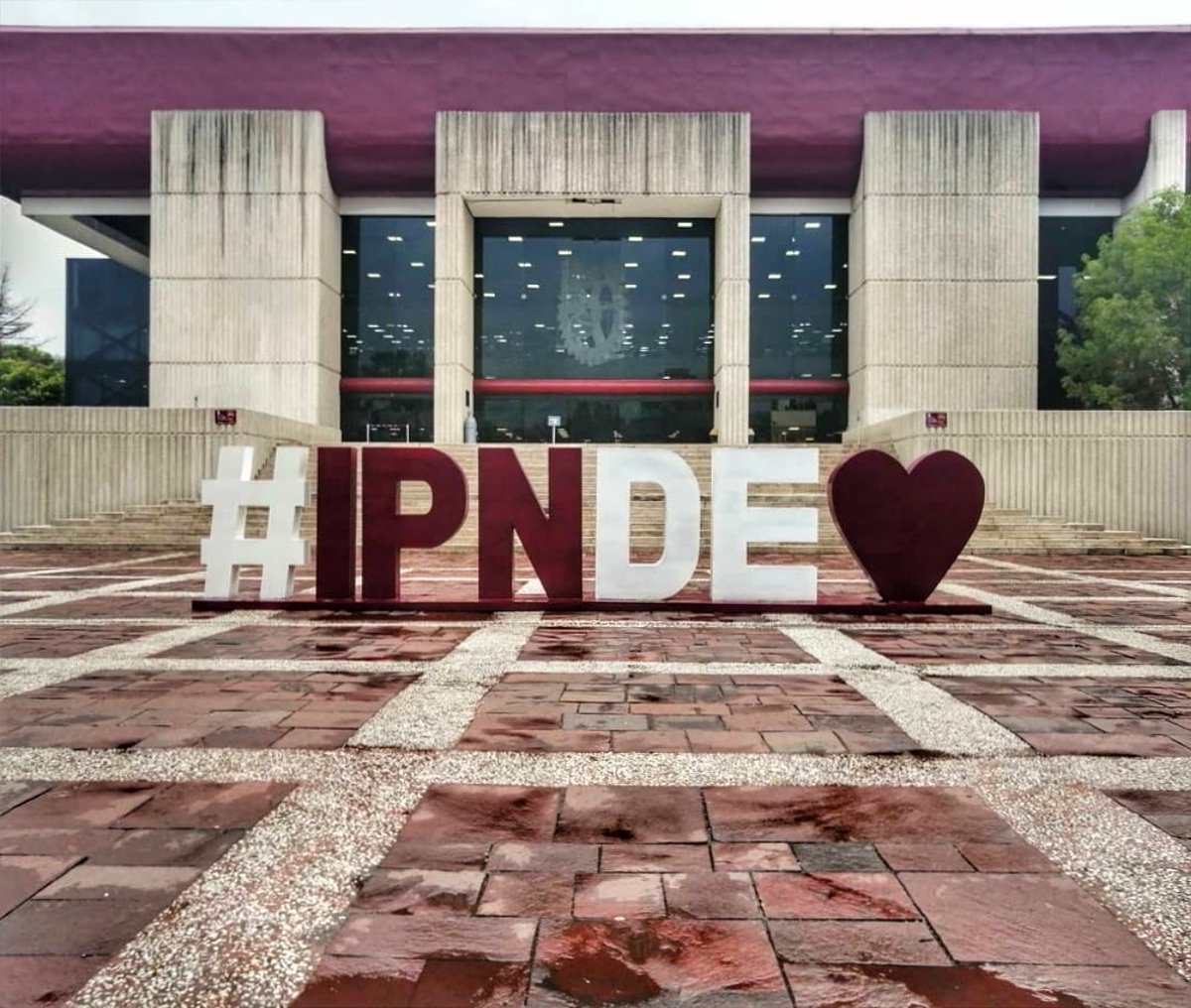 politécnico tweet media