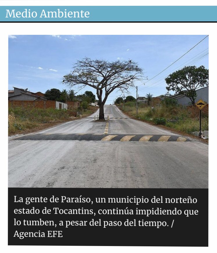BOSQUESECOSDEC1's tweet photo. Que opinan? https://t.co/FowTTWxtPZ