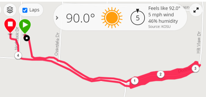 NitaSweeney's tweet photo. @therunchat A2: Since I'm actively engaged in #bedtimerevenge #procratination, and not getting out early, I've been running .1 "laps" in a shady ravine. #RunChat https://t.co/NN3dbeSbTq