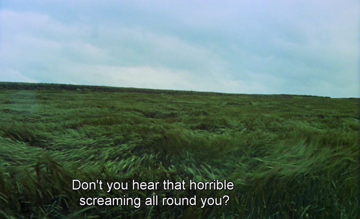 Movies in Frames tweet media