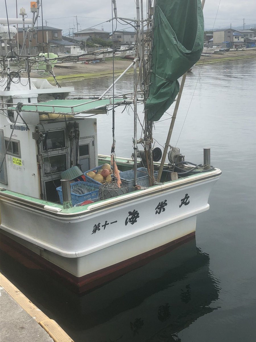 青森県大間町体験型民宿葵 Na Twitteru 海栄丸 ４５キロ 今のところ毎日何十本も上がってます マグロの水揚げ見るなら今がチャンスです