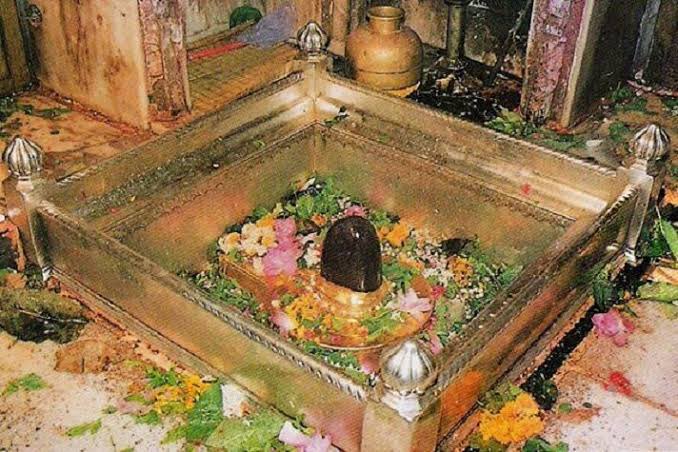 there lived a pious brahmin named Poosalar who was also a great devotee of Lord Shiva. Poosalar was called thus by the local people because his body was always covered with sacred ash (‘poosal’ means ‘to apply’ in Tamil) However, Poosalar was so poor that he did not even have a