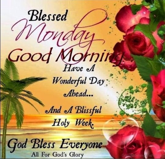 RajRani56689961's tweet photo. #GoodMorning #GoodThoughts #GoodHopes #MondayMorning #GoodMorningTwitterWorld #GoodDay
🙏🙏🙏🙏🙏🙏🙏🙏🙏🙏🙏🙏 https://t.co/2Omjahq0Ts