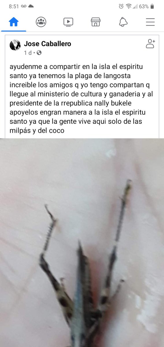 Aminta27's tweet photo. Estimado Ministro @Anlikerinfante por favor le solicito ayude a nuestra gente en la Isla El Espíritu Santo N Puerto Triunfo, Usulután esa gente humilde es de lo único que se mantienen de sus milpas y su destrucción seria uma tragedia https://t.co/KbOTxpF3cB