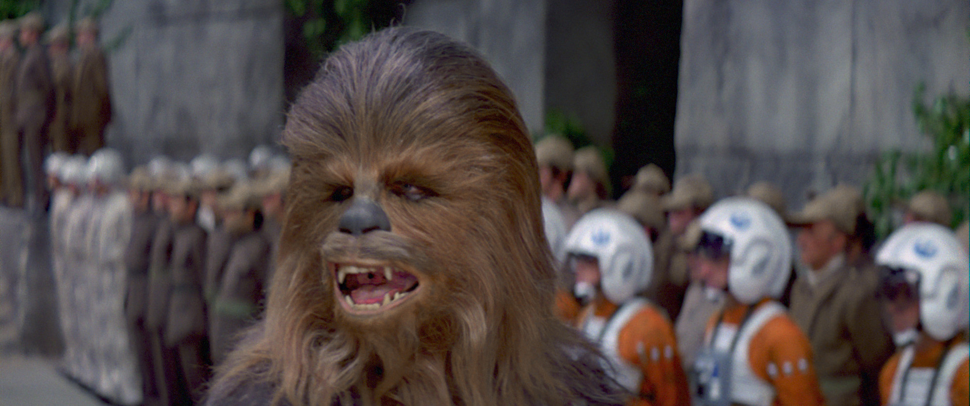 スター ウォーズ公式 ハン ソロの相棒 チューバッカ 彼の種族であるウーキーの平均寿命は400歳で とても長命 ちなみにウーキーの男性が成人する年齢は12歳だとか スターウォーズ T Co Fl2u8uthkj Twitter